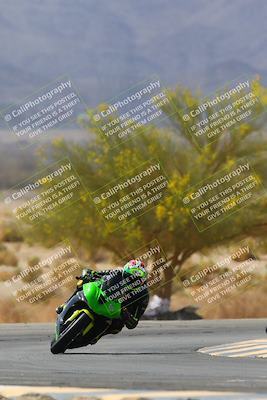 media/Apr-10-2022-SoCal Trackdays (Sun) [[f104b12566]]/Turn 5 Tree of Life (1040am)/